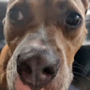 Meet your Posher, Isaac